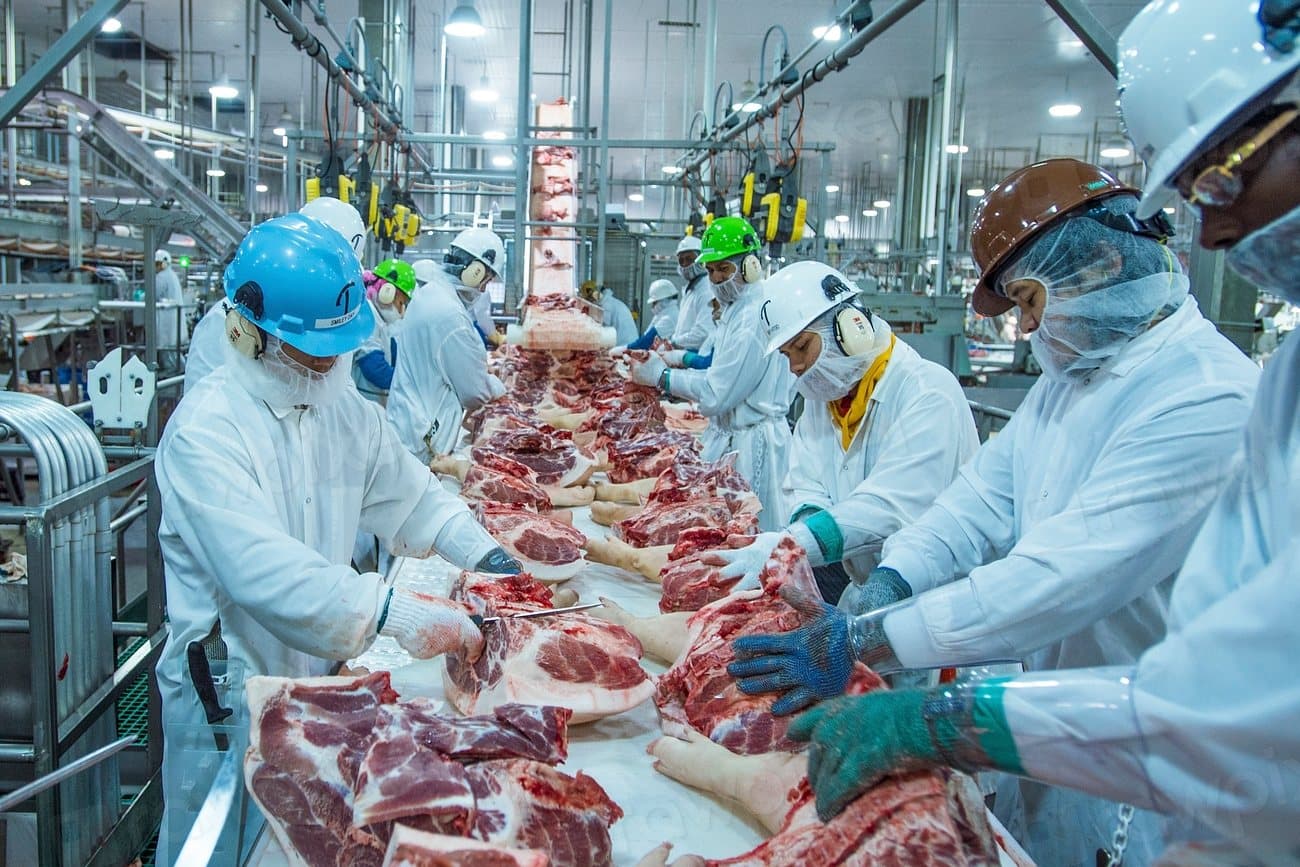 Operarios trabajando en la línea de desposte de un frigorífico